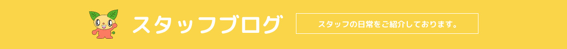 スタッフブログ